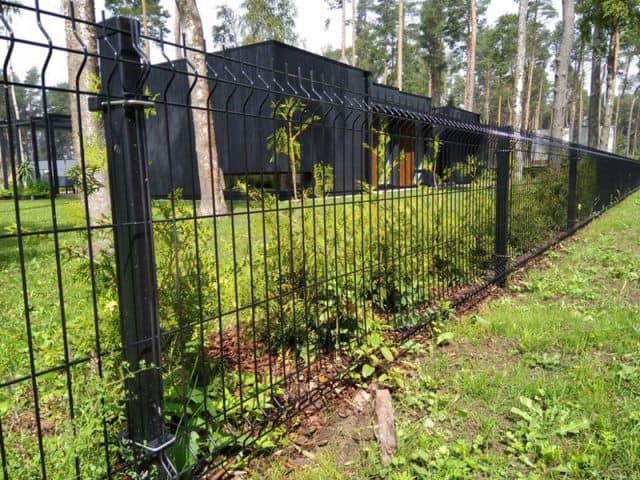 Kuidas võrkaed õigesti paigaldada